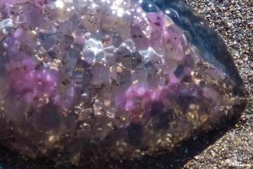 La playa de Melenara se llena de medusas (Foto Antonio Rico)